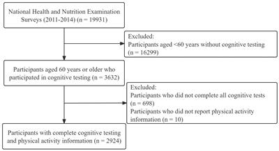 Relationship between domain-specific physical activity and cognitive function in older adults – findings from NHANES 2011–2014